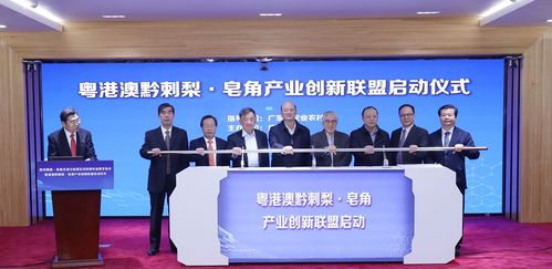 王老吉刺檸吉再出新品,廣藥牽頭成立相關產業(yè)創(chuàng)新聯盟